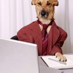 Dog Accountant
