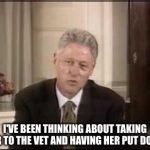 Hmm.... | I'VE BEEN THINKING ABOUT TAKING HER TO THE VET AND HAVING HER PUT DOWN | image tagged in bill clinton definition,memes,funny,hillary | made w/ Imgflip meme maker