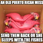 Plastic Flamingos | IT'S AN OLD PUERTO RICAN MESSAGE; SEND THEM BACK OR SHE SLEEPS WITH THE FISHES | image tagged in plastic flamingos | made w/ Imgflip meme maker