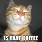 Smug Cat | IS THAT COFFEE I SMELL? | image tagged in smug cat | made w/ Imgflip meme maker