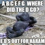GORILLA SHOT RELAX ZOO HARAMBE | A B C E F G WHERE DID THE D GO? THE D'S OUT FOR HARAMBE | image tagged in gorilla shot relax zoo harambe | made w/ Imgflip meme maker