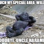 Mess with me, will ya Uncle Harambe? | TOUCH MY SPECIAL AREA, WILL YA GOODBYE, UNCLE HARAMBE | image tagged in gorilla shot relax zoo harambe,harambe,gorilla | made w/ Imgflip meme maker