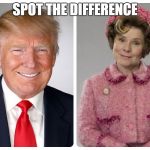 Trump Umbridge | SPOT THE DIFFERENCE | image tagged in trump umbridge | made w/ Imgflip meme maker