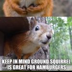  bad pun squirrel | WHEN DECIDING WHETHER TO HUNT TREE SQUIRREL OR GROUND SQUIRREL; KEEP IN MIND GROUND SQUIRREL IS GREAT FOR HAMBURGERS | image tagged in bad pun squirrel | made w/ Imgflip meme maker