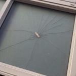 Broken Window Patch