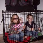 Kids in Crate