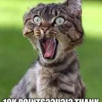 Cat freak out | HOLY CRAP!! 10K POINTS??!!?!?
THANK YOU ALL SO MUCH!! | image tagged in cat freak out | made w/ Imgflip meme maker