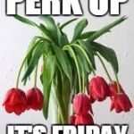 Wilted Flowers | PERK UP; IT'S FRIDAY | image tagged in wilted flowers | made w/ Imgflip meme maker