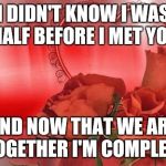 love my trucker! | I DIDN'T KNOW I WAS HALF BEFORE I MET YOU; AND NOW THAT WE ARE TOGETHER I'M COMPLETE | image tagged in love my trucker | made w/ Imgflip meme maker