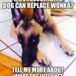 You are not amusing  | OH, YOU DON'T THINK A CONDESCENDING DOG CAN REPLACE WONKA? TELL ME MORE ABOUT WHAT THE INTERNET THINKS OF ANIMALS | image tagged in you are not amusing | made w/ Imgflip meme maker