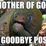 Mother of god eel | MOTHER OF GOD; A GOODBYE POST | image tagged in mother of god eel | made w/ Imgflip meme maker