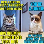 Don't invite Grumpy Cat to an intervention.... | YOU'RE A JUNKIE; HAVE A SEAT WE NEED TO TALK ABOUT YOUR DRUG ABUSE; NOW GRUMPY YOU PROMISED TO BE NICE; OK, YOU'RE A JUNKIE THAT GETS REALLY GOOD DRUGS | image tagged in take a seat cat and grumpy cat review | made w/ Imgflip meme maker