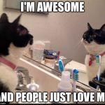 Motivational Cat | I'M AWESOME; AND PEOPLE JUST LOVE ME | image tagged in motivational cat | made w/ Imgflip meme maker