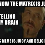 When You're Woke AF | I KNOW THE MATRIX IS JUST; TELLING MY BRAIN; THIS MEME IS JUICY AND DELICIOUS | image tagged in cypher ignorance is bliss,you can never go back | made w/ Imgflip meme maker