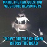 Maybe we've been asking the wrong questions... | MAYBE THE REAL QUESTION WE SHOULD BE ASKING IS; "HOW" DID THE CHICKEN CROSS THE ROAD | image tagged in stacked animals,memes,funny animals,funny,animals | made w/ Imgflip meme maker