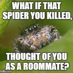 Misunderstood Spider | WHAT IF THAT SPIDER YOU KILLED, THOUGHT OF YOU AS A ROOMMATE? | image tagged in misunderstood spider | made w/ Imgflip meme maker