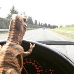 Dinosaur driving