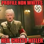 Donald Trump Hitler | PROFILE NON WHITES; HEIL CHEETO HITLER | image tagged in donald trump hitler | made w/ Imgflip meme maker
