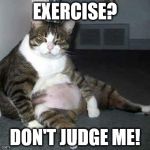 Fat cat | EXERCISE? DON'T JUDGE ME! | image tagged in fat cat | made w/ Imgflip meme maker