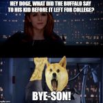 together our puns can rule the galaxy | HEY DOGE, WHAT DID THE BUFFALO SAY TO HIS KID BEFORE IT LEFT FOR COLLEGE? BYE-SON! | image tagged in anna kendrick no,anna kendrick,doge,star wars,puns | made w/ Imgflip meme maker