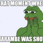 pepe | THAT MOMENT WHEN; HARAMBE WAS SHOT | image tagged in pepe | made w/ Imgflip meme maker