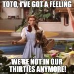 dorothy | TOTO, I'VE GOT A FEELING; WE'RE NOT IN OUR THIRTIES ANYMORE! | image tagged in dorothy | made w/ Imgflip meme maker