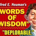  Neuman's Words of Wisdom | "DEPLORABLE." | image tagged in neuman's words of wisdom | made w/ Imgflip meme maker