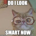 Funny Cat with Glasses | DO I LOOK; SMART NOW | image tagged in funny cat with glasses | made w/ Imgflip meme maker
