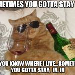 Wine Cat Birthday | SOMETIMES YOU GOTTA STAY IN... AND YOU KNOW WHERE I LIVE...SOMETIMES YOU GOTTA STAY,  IN, IN | image tagged in wine cat birthday | made w/ Imgflip meme maker