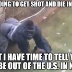 Fill in the blanks: Nov_____ Pres_______ El______ | I'M GOING TO GET SHOT AND DIE IN 2016; BUT I HAVE TIME TO TELL YOU TO BE OUT OF THE U.S. IN NOV- | image tagged in last moments of harambe,2016 election,trump,harambe,hillary,donald trump | made w/ Imgflip meme maker