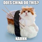 A racist joke that really isn't a joke cause its not funny and i just offended alot of people srry!!! | DOES CHINA DO THIS? NAHHH | image tagged in sushi cat,china | made w/ Imgflip meme maker