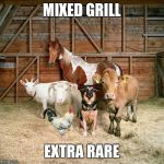 Vegan | MIXED GRILL; EXTRA RARE | image tagged in vegan | made w/ Imgflip meme maker