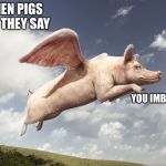 flying pig | WHEN PIGS FLY! THEY SAY; YOU IMBISULE! | image tagged in flying pig | made w/ Imgflip meme maker