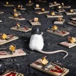 Mouse in the mine field