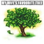 She thinks it's real... | MY WIFE'S FAVOURITE TREE | image tagged in money tree,wife,money | made w/ Imgflip meme maker