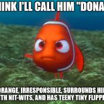 Nemo | I THINK I'LL CALL HIM "DONALD"; HE'S ORANGE, IRRESPONSIBLE, SURROUNDS HIMSELF WITH NIT-WITS, AND HAS TEENY TINY FLIPPERS | image tagged in nemo | made w/ Imgflip meme maker