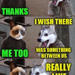 Grumpy Cat and Bad Pun Dog | I THINK YOU'RE COOL; THANKS; I WISH THERE; WAS SOMETHING BETWEEN US; ME TOO; REALLY LIKE WHAT? A WALL! | image tagged in grumpy cat and bad pun dog,funny meme,wall,jokes,laughs | made w/ Imgflip meme maker