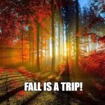 fall trees | FALL IS A TRIP! | image tagged in fall trees | made w/ Imgflip meme maker