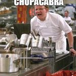 sucka con carne | WE NEED FRESHER CHUPACABRA THIS TASTES SUCKY | image tagged in hell's kitchen,memes | made w/ Imgflip meme maker