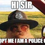 avo2484catsheriff | HI SIR; ADOPT ME I AM A POLICE CAT | image tagged in avo2484catsheriff | made w/ Imgflip meme maker