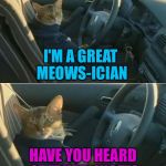 Boat Cat has a night gig | I'M A GREAT MEOWS-ICIAN; HAVE YOU HEARD OF "PURR-INCE"? | image tagged in boat cat in car,memes | made w/ Imgflip meme maker