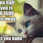 Sad cat Meme Generator - Imgflip