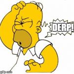 Homer Derp | DERP! | image tagged in homer doh | made w/ Imgflip meme maker
