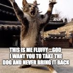 kung fu kitten | THIS IS ME FLUFFY ...GOD I WANT YOU TO TAKE THE DOG AND NEVER BRING IT BACK | image tagged in kung fu kitten | made w/ Imgflip meme maker