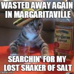Mexican Cat | WASTED AWAY AGAIN IN MARGARITAVILLE; SEARCHIN' FOR MY LOST SHAKER OF SALT | image tagged in mexican cat | made w/ Imgflip meme maker