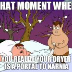 So that's where all those socks went | THAT MOMENT WHEN; YOU REALIZE YOUR DRYER IS A PORTAL TO NARNIA | image tagged in family guy narnia,memes | made w/ Imgflip meme maker