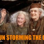 Buttercup | HAVE FUN STORMING THE CASTLE! | image tagged in buttercup | made w/ Imgflip meme maker