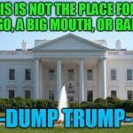 White House | THIS IS NOT THE PLACE FOR A BIG EGO, A BIG MOUTH, OR BAD HAIR; -DUMP TRUMP- | image tagged in white house,trump,dump trump,nevertrump,drumpf,donald trump | made w/ Imgflip meme maker