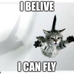 falling kitten | I BELIVE; I CAN FLY | image tagged in falling kitten | made w/ Imgflip meme maker