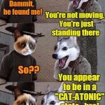 Grumpy Cat and Bad Pun Dog | Yo Grumpy!  Look at yourself,  man! Dammit,  he found me! You're not moving.  You're just standing there; You appear to be in a "CAT-ATONIC" state,  bro! So?? Dog,  you're WAY too close to me right now | image tagged in grumpy cat and bad pun dog | made w/ Imgflip meme maker